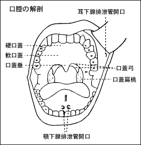 いびき