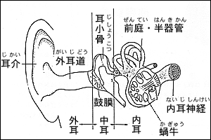 イメージ画像