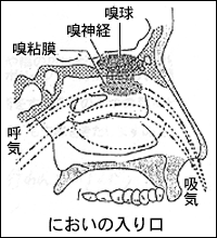 においの入口